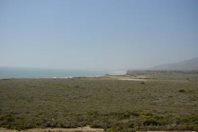 DSC_6834 (Large).JPG